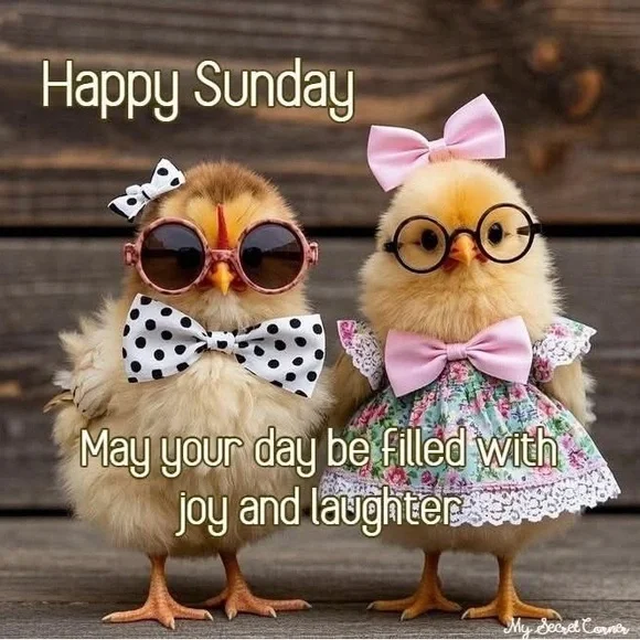 $3 Low Start Show, Have Fun and Get some great bargains ❤️ - Picture 2 of 4